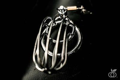 10 Cock Cages or Chastity Cages