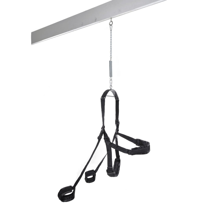 fetish-fantasy-series-fantasy-swing-black
