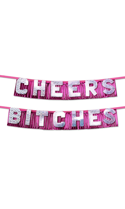 bachelorette-party-favors-cheers-bitches-party-banner-silver-pink